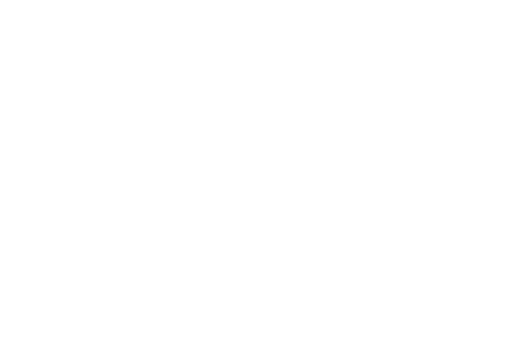 Logo PYV Tecnología España blanco