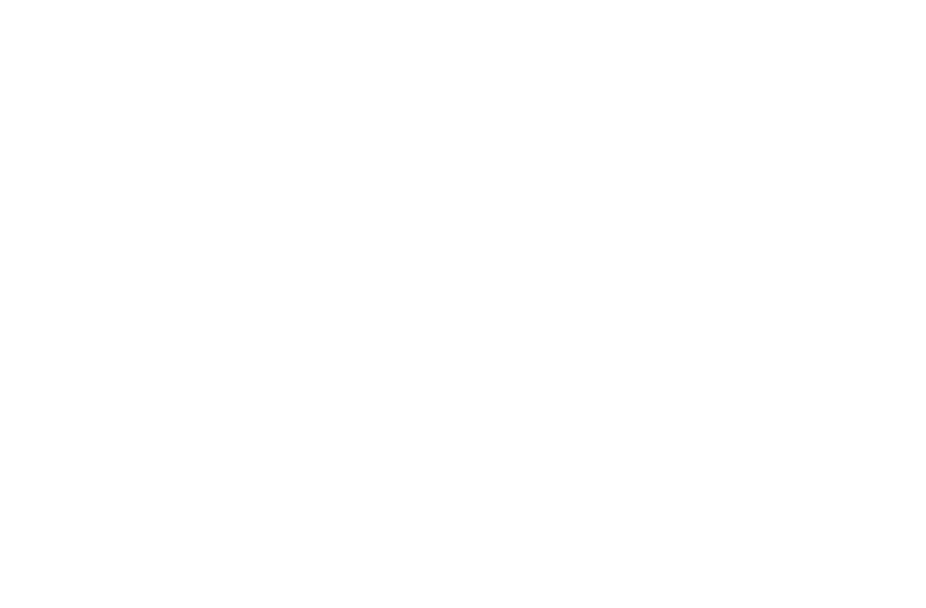 Logo PYV Tecnología México blanco